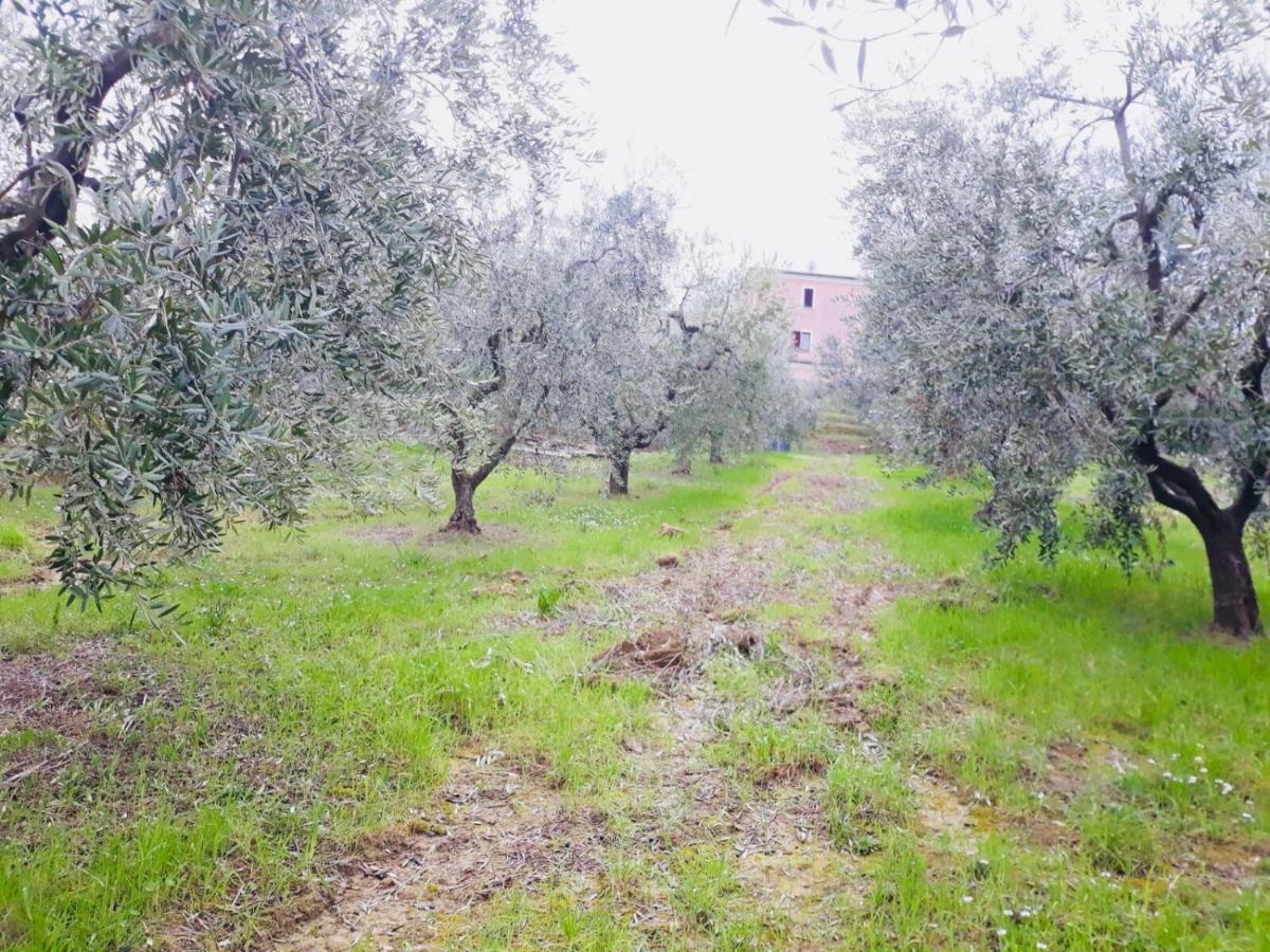 Montone  Ellebi B&B מראה חיצוני תמונה